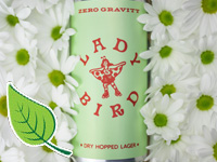 Zero Gravity - Burlington, Vt - Ladybird Dry Hopped Lager