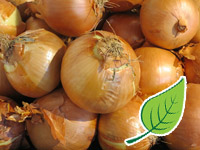 Edgewater Farm Onions
