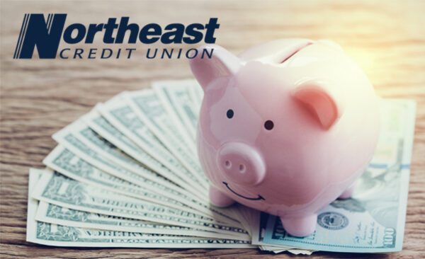 Northeast Credit Union Piggy Bank