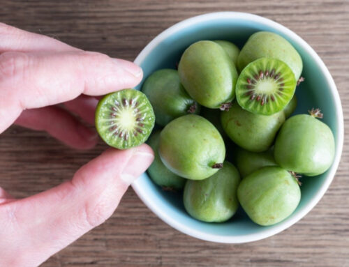 Our New Local Kiwi Berry is Here and It’s Amazing