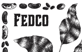 Fedco seed catalog cover illustration with name, leaves, and seeds