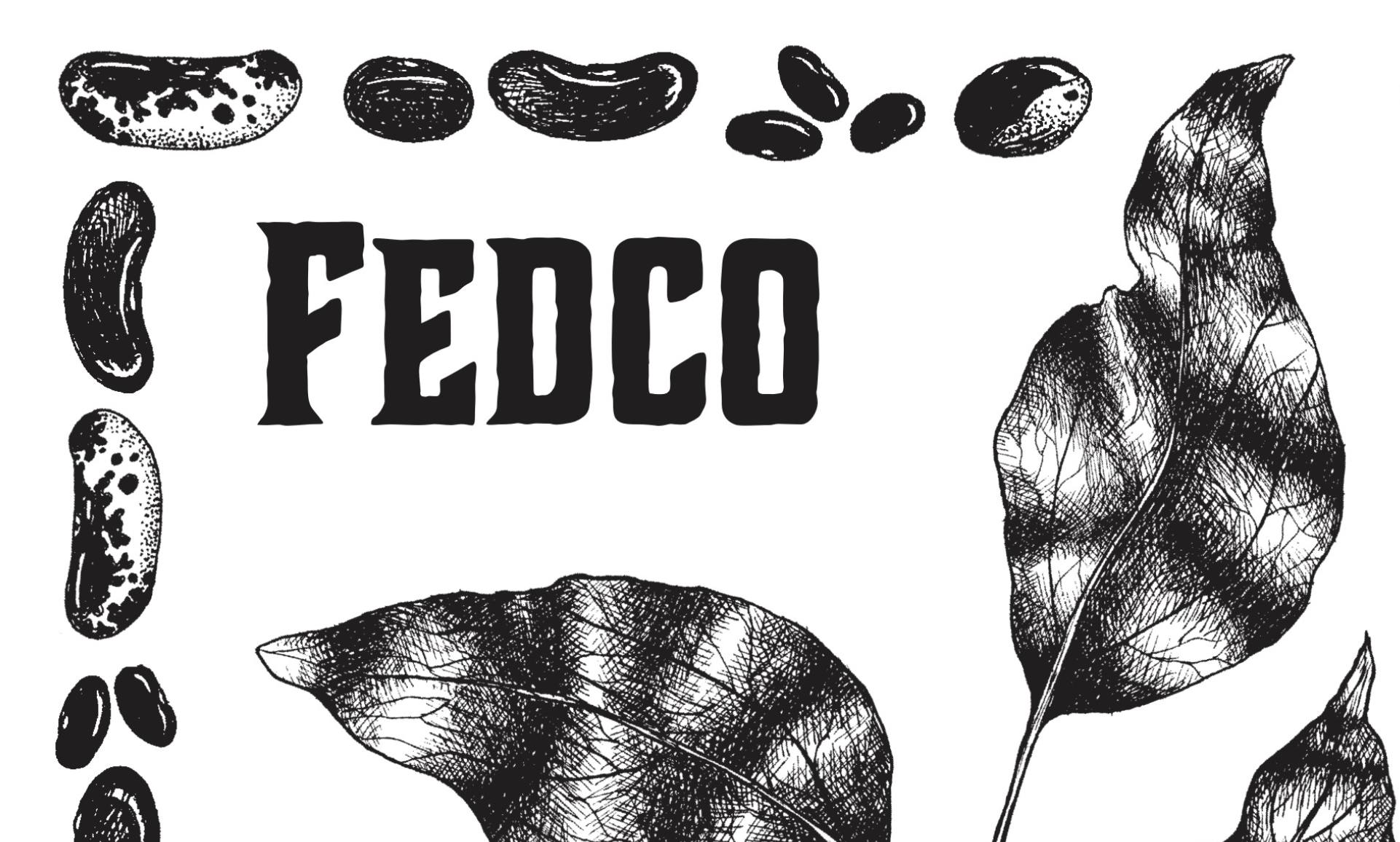 Fedco seed catalog cover illustration with name, leaves, and seeds