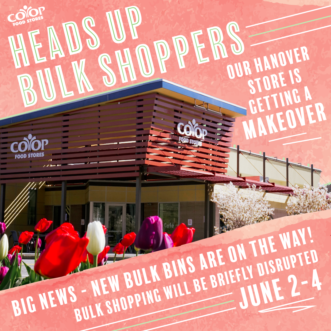bulk_bins_han_store Hanover store on colorful pink background