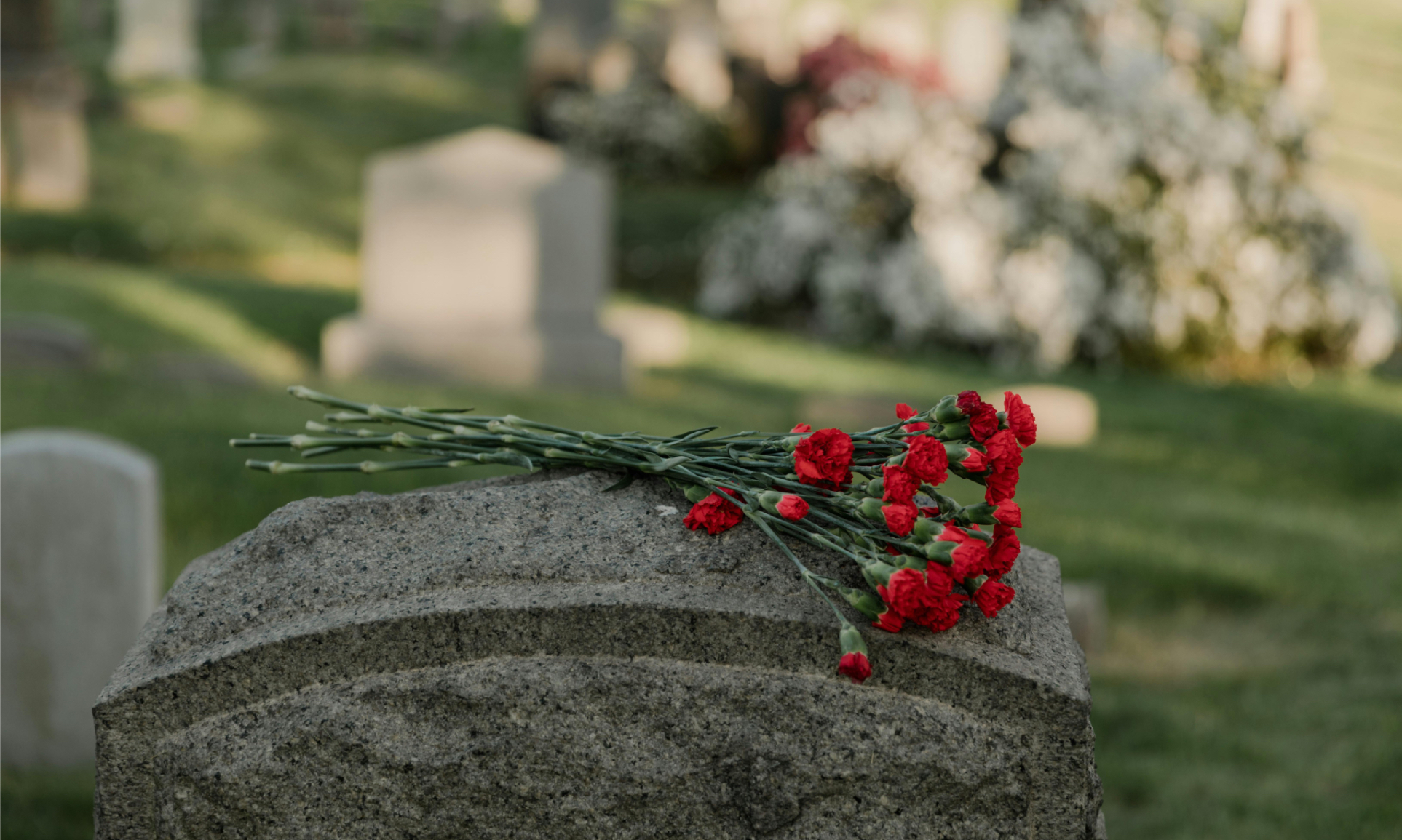 Red flowers on a gravestone