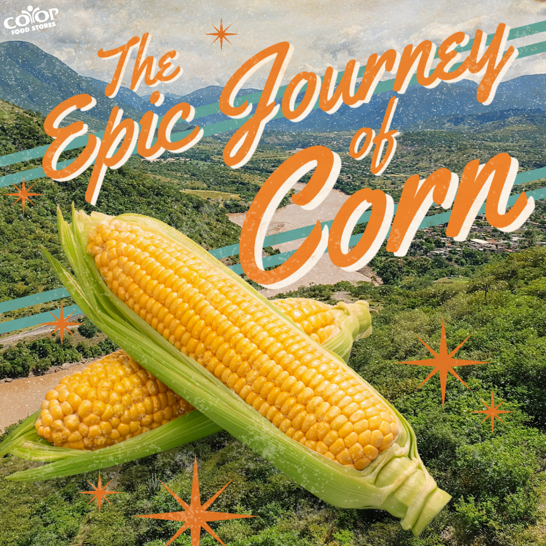 Photo illustration of corn on a field