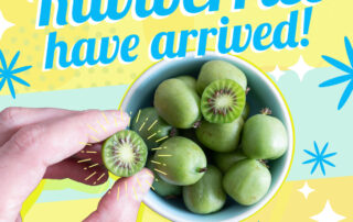 Photo illustration of hand over bowl of kiwiberries