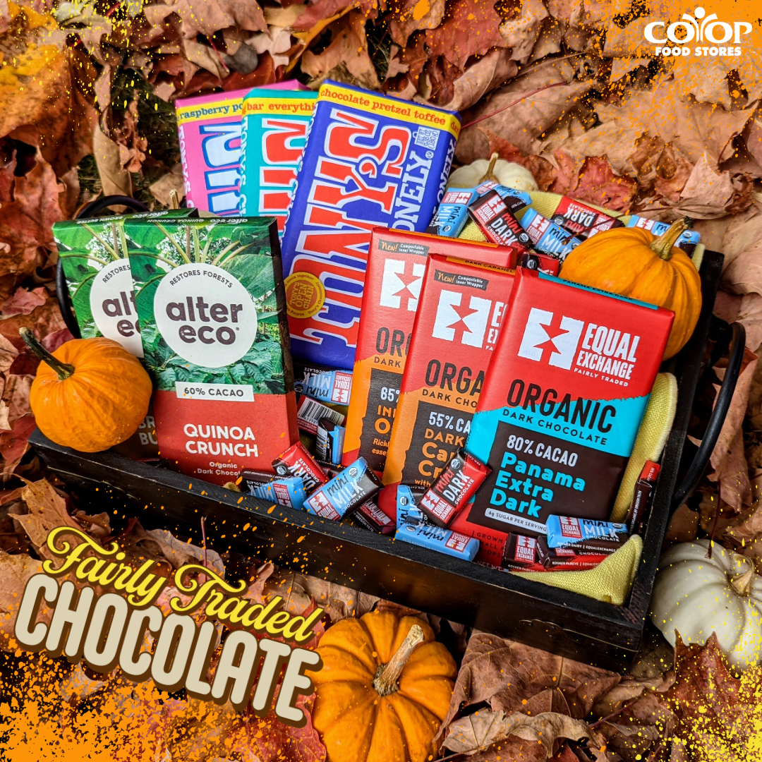 Collection of fairly traded chocolate candy bars on background of fall leaves