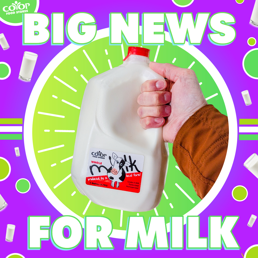 slashing_milk_prices Hand holding Co-op branded milk on green and purple striking colorful background