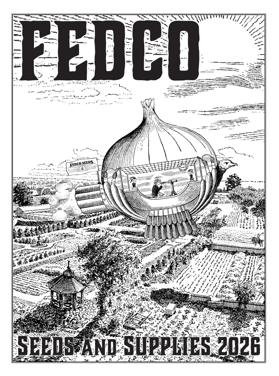 FedcoSeed_CoverArt_2026 Cover art for 2026 Fedco seed catalog