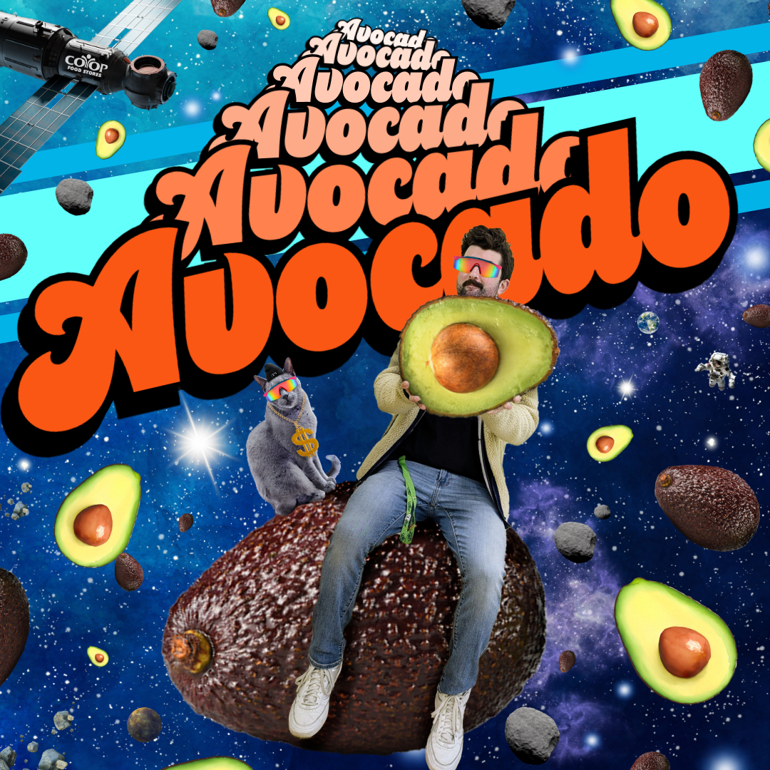 Photo illustration of employee and cat in sunglasses with avocados on a space background. Yes, we're serious here.