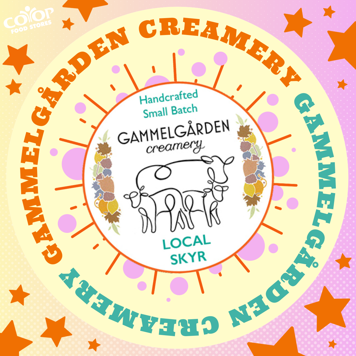 Photo illustration of cow line art for Gammelgarden Creamery local skyr on colorful background with stars and text about the product encircling the image