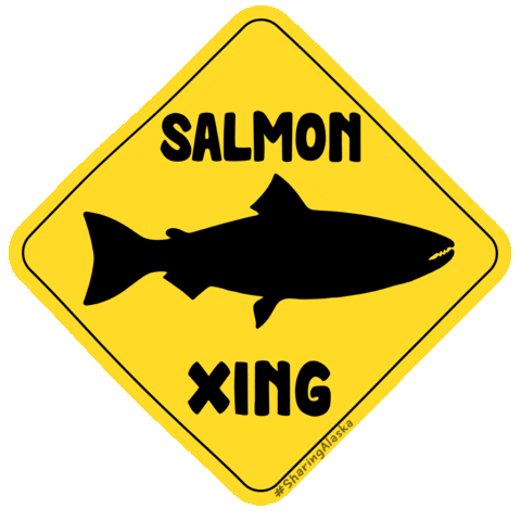 salmon_crossing
