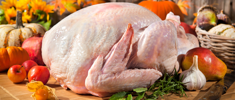 RawTurkey